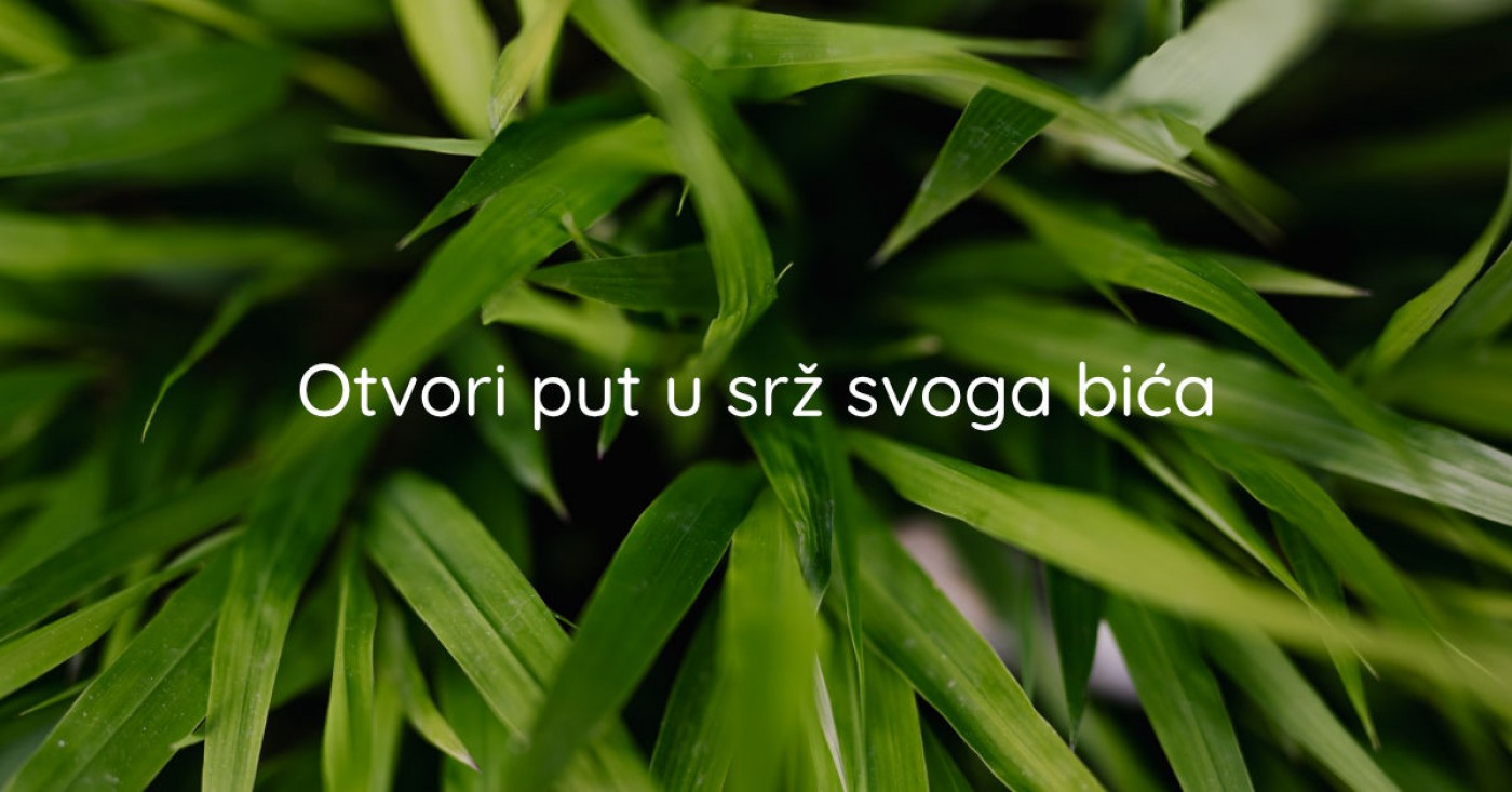 Otvori put u srž svoga bića